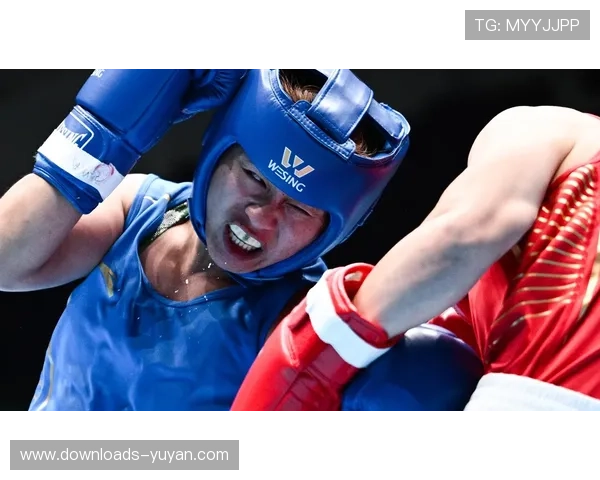 拳击主题电影立项，取材全运冠军真实训练经历